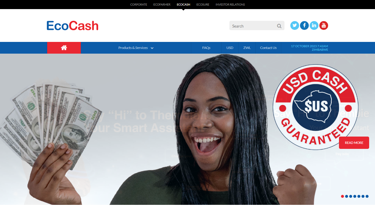 EcoCash